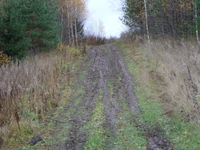 Дорога на Гектар